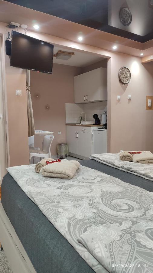 Iva Lux Apartman Zaječar Eksteriør bilde
