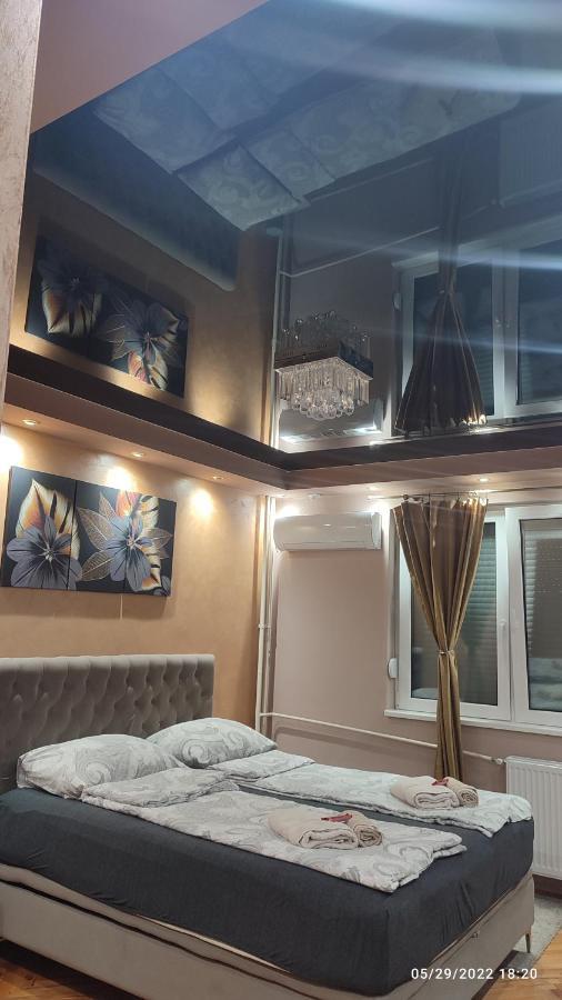 Iva Lux Apartman Zaječar Eksteriør bilde